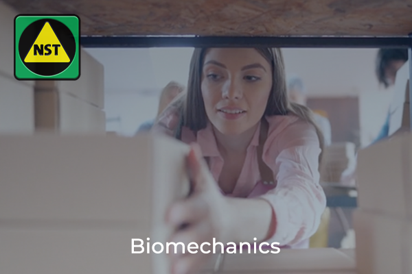 4. Biomechanics & The Lever Effect
