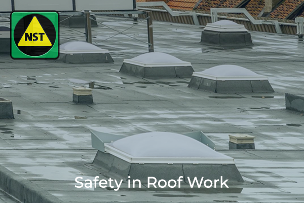 5. Safety in Roof Work