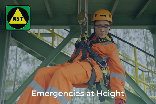 8. Emergencies at Height