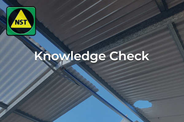 WAH Knowledge Check 2